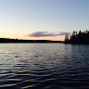 Meet your Posher, Brad